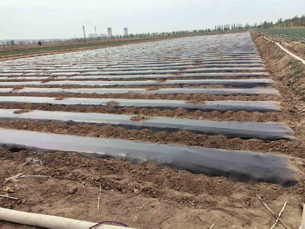 Agricultural plastic film